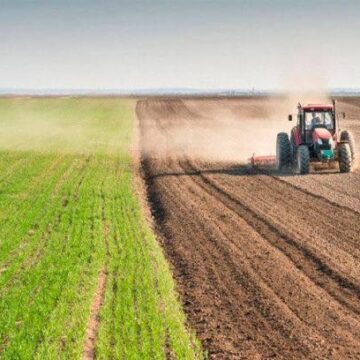 В області триває посів ранніх зернових і зернобобових культур