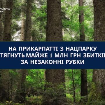 На Прикарпатті з нацпарку стягнуть майже 1 млн грн збитків за незаконні рубки