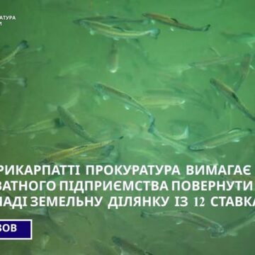 Прокуратура вимагає від приватного підприємства повернути громаді земельну ділянку із ставками у Солотвинській громаді