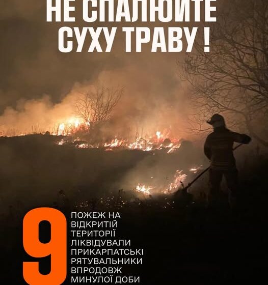Впродовж минулої доби підрозділи ДСНС ліквідували 9 пожеж у природних екосистемах на загальній площі близько 0,5 га Впродовж минулої доби підрозділи ДСНС ліквідували 9 пожеж у природних екосистемах на загальній площі близько 0,5 га
