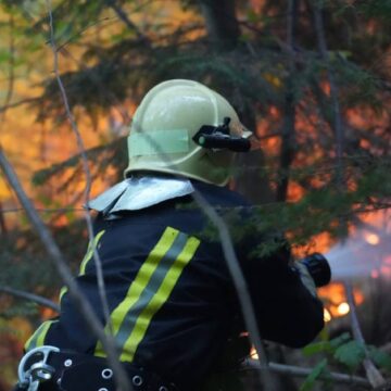 У Калуському районі горіла лісова підстилка: на Прикарпатті за добу зафіксували 14 пожеж в екосистемах