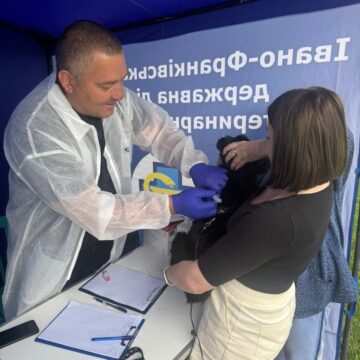 У Калуші безкоштовно проводитимуть вакцинацію домашніх собак та котів проти сказу У Калуші безкоштовно проводитимуть вакцинацію домашніх собак та котів проти сказу