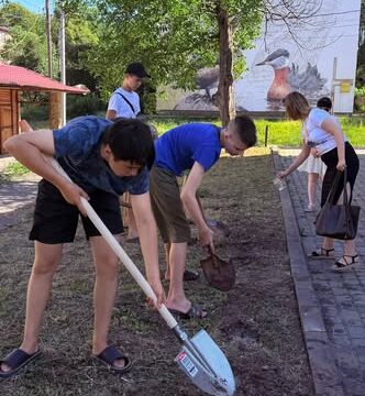 Соняшники відповідальності висадили у Бурштині