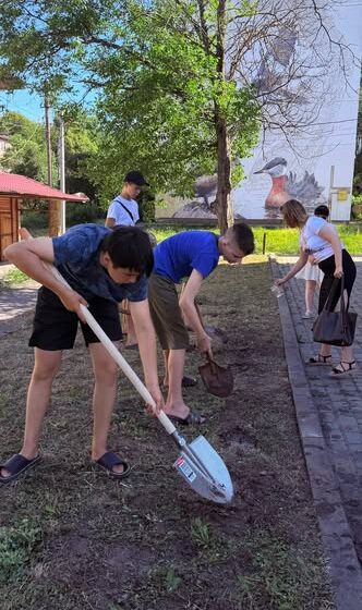 Соняшники відповідальності висадили у Бурштині