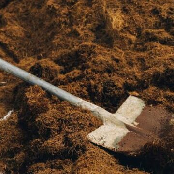 На Городенківщині жінка побила сусідку лопатою і металевим штирем На Городенківщині жінка побила сусідку лопатою і металевим штирем