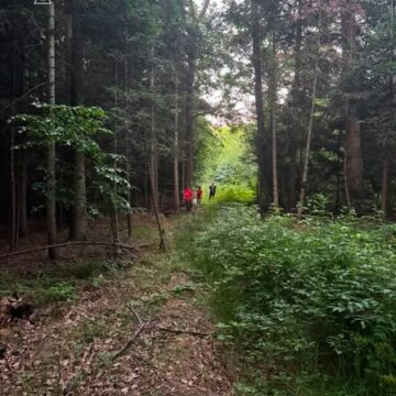 На Долинщині розшукали жінку, яка заблукала у лісі На Долинщині розшукали жінку, яка заблукала у лісі