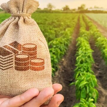 До 1 млн грн під 0%: у ДАР стартував прийом заявок на кредити для фермерів
