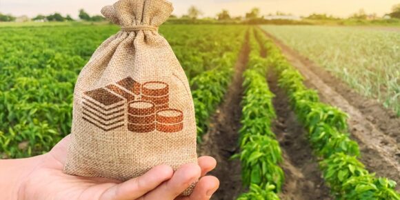До 1 млн грн під 0%: у ДАР стартував прийом заявок на кредити для фермерів