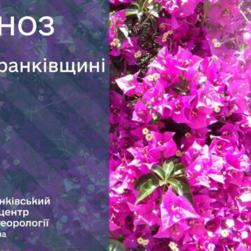 Малохмарна погода без опадів: прогноз синоптиків на 25 червня 2026 року Малохмарна погода без опадів: прогноз синоптиків на 25 червня 2026 року
