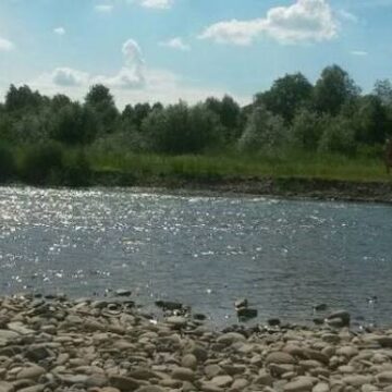 У Бистриці Надвірнянській перевірили якість води: один із показників не відповідає нормам