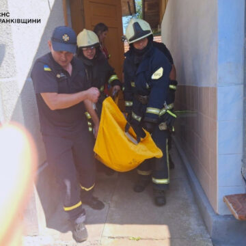 Рятувальники допомогли літній жінці, яка впала до погреба
