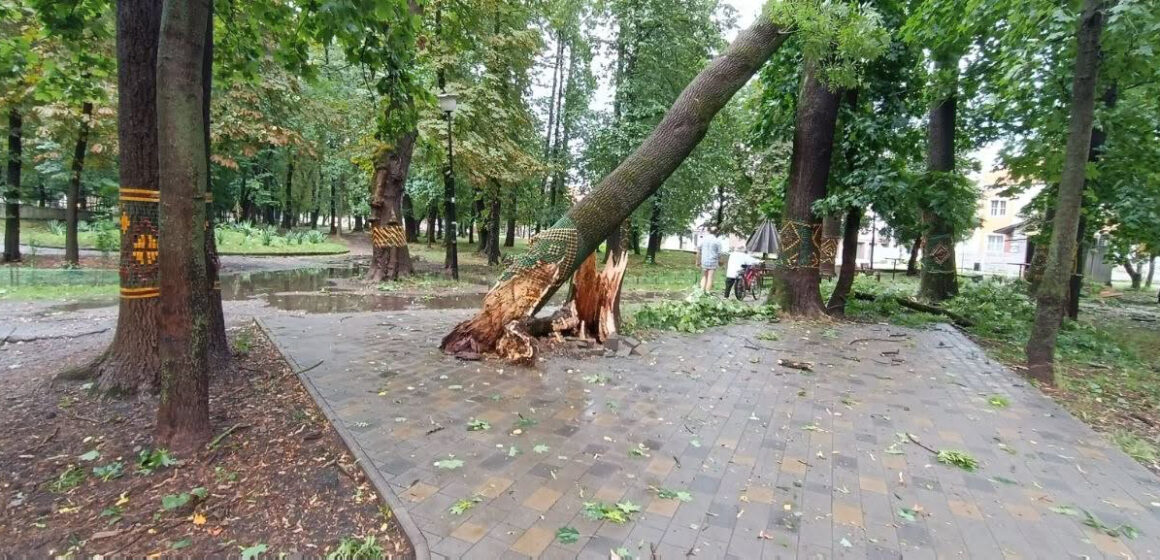 Негода наробила біди в Коломиї Негода наробила біди в Коломиї