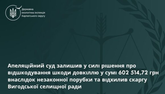 Доведеться заплатити: апеляційний суд залишив у силі рішення про стягнення 602,5 тис. грн шкоди Доведеться заплатити: апеляційний суд залишив у силі рішення про стягнення 602,5 тис. грн шкоди