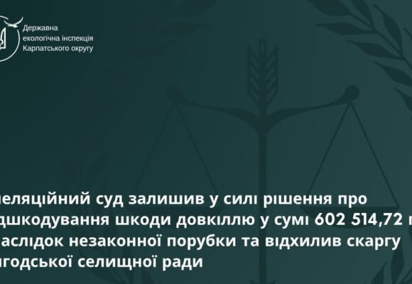 Доведеться заплатити: апеляційний суд залишив у силі рішення про стягнення 602,5 тис. грн шкоди