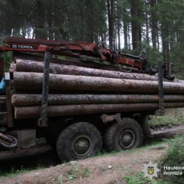 Двоє жителів Прикарпаття за гроші перевозили незаконно зрубану деревину із заповідних територій