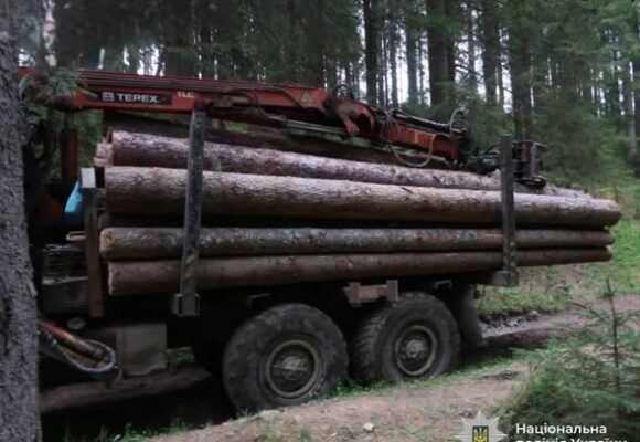 Двоє жителів Прикарпаття за гроші перевозили незаконно зрубану деревину із заповідних територій