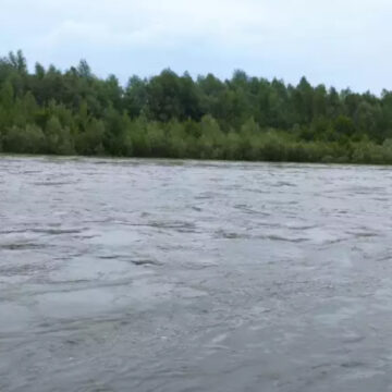 Рятувальники попереджають про підняття рівня води у річці Прут