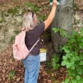 Відновлено маркування екологічної стежки «На Зіняків верх»