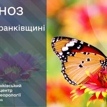 Мінлива хмарність, але без опадів: прогноз на 29 липня