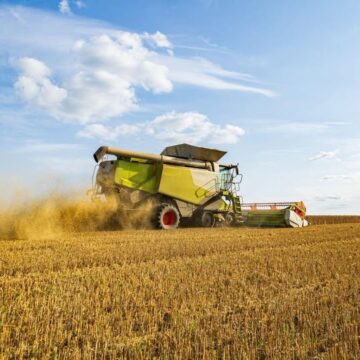 На Прикарпатті стартували жнива На Прикарпатті стартували жнива