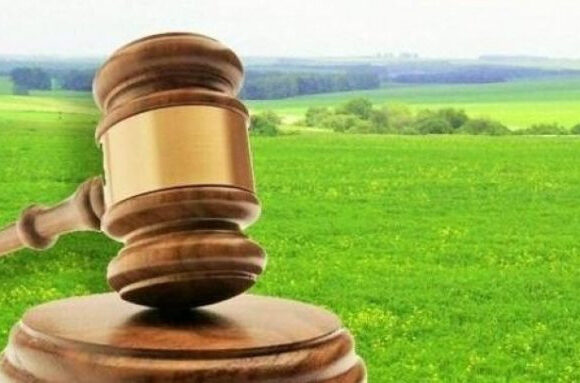 Дві агрофірми заборгували Долинській громаді понад 180 тисяч гривень за оренду землі: прокурори звернулись до суду