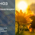 Повітря прогріється до +36: прогноз погоди на 2 серпня