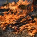 Висока пожежна небезпека на Прикарпатті: мешканців закликають до обережності