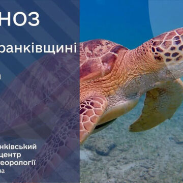 На вихідні знову спека та грози На вихідні знову спека та грози