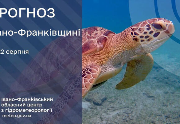На вихідні знову спека та грози