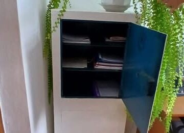 У Долинській міській територіальній громаді виявили відсутність патронатних сімей