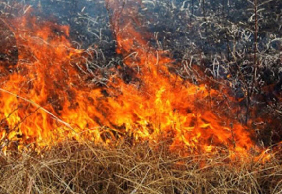 Минулої доби рятувальники Івано-Франківщини ліквідували 18 пожеж в екосистемах області