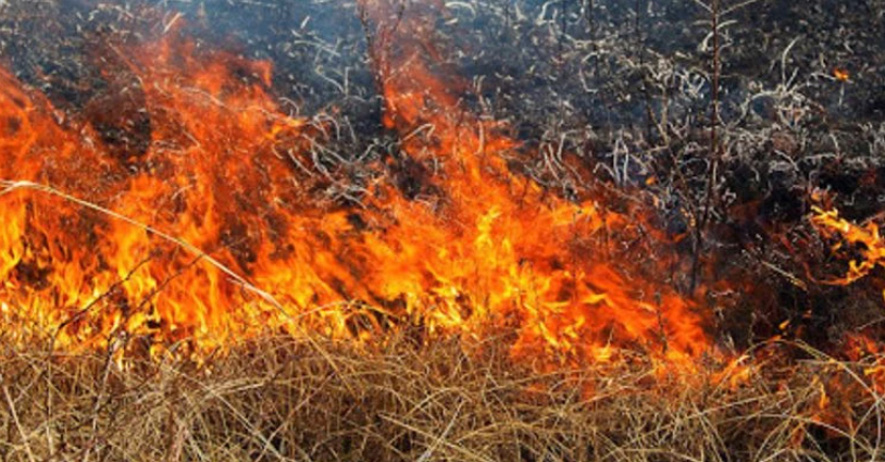 Минулої доби рятувальники Івано-Франківщини ліквідували 18 пожеж в екосистемах області Минулої доби рятувальники Івано-Франківщини ліквідували 18 пожеж в екосистемах області