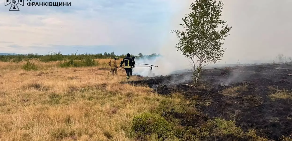 На Рожнятівщині у полі горіли суха трава та чагарники на площі 0,25 га На Рожнятівщині у полі горіли суха трава та чагарники на площі 0,25 га