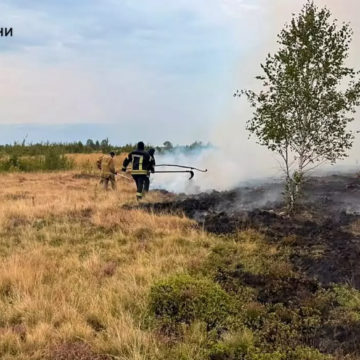 На Рожнятівщині у полі горіли суха трава та чагарники на площі 0,25 га