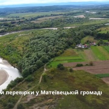 На Коломийщині знищили сім дерев на землях комунальної власності