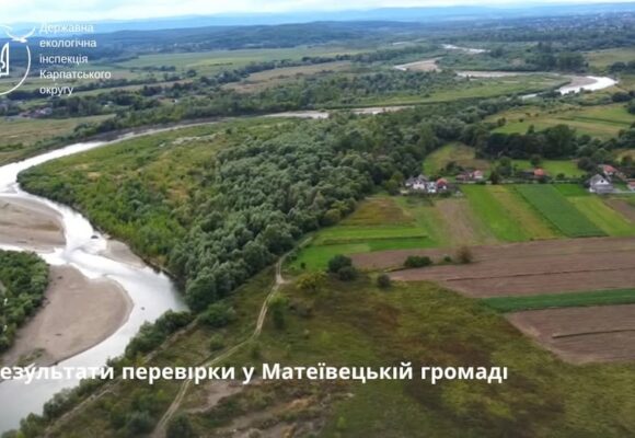 На Коломийщині знищили сім дерев на землях комунальної власності