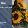 Місцями гроза: прогноз погоди на 30 серпня 2026 року