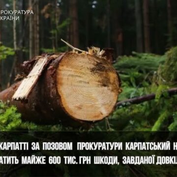 На Прикарпатті за позовом прокуратури Карпатський нацпарк сплатить майже 600 тис. грн шкоди, завданої довкіллю