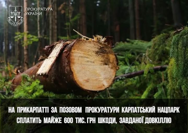 На Прикарпатті за позовом прокуратури Карпатський нацпарк сплатить майже 600 тис. грн шкоди, завданої довкіллю На Прикарпатті за позовом прокуратури Карпатський нацпарк сплатить майже 600 тис. грн шкоди, завданої довкіллю