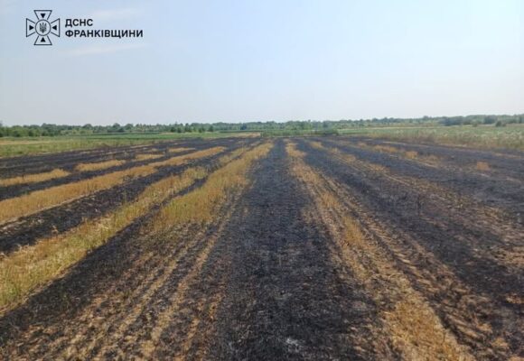 На Івано-Франківщині під час пожежі сухої трави загинула людина