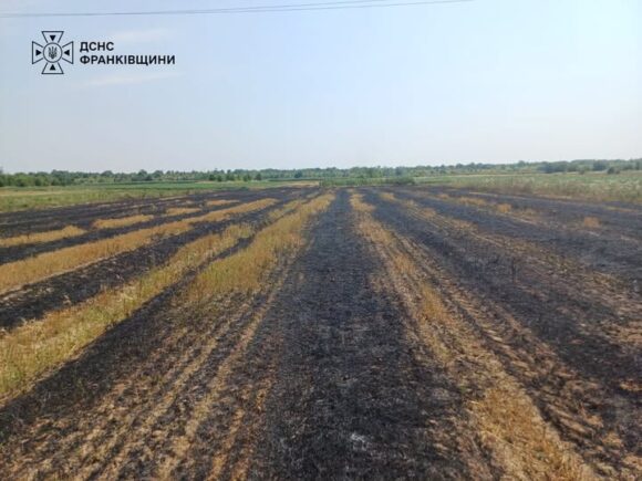 На Івано-Франківщині під час пожежі сухої трави загинула людина На Івано-Франківщині під час пожежі сухої трави загинула людина