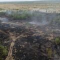 На Рожнятівщині загасили велику пожежу сухої трави та чагарників
