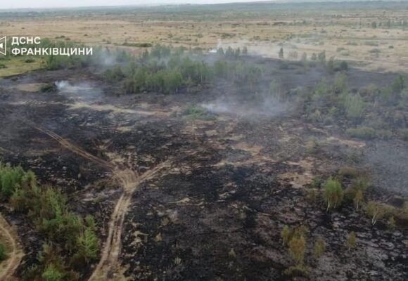 На Рожнятівщині загасили велику пожежу сухої трави та чагарників