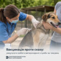 За тиждень на Прикарпатті вакцинували від сказу 3386 тварин