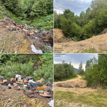 На Долинщині виявили несанкціоноване сміттєзвалище: побутові відходи, пластик, скло, метал, бітумний та азбестовий шифер