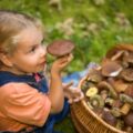На Прикарпатті двох дітей госпіталізували через отруєння грибами