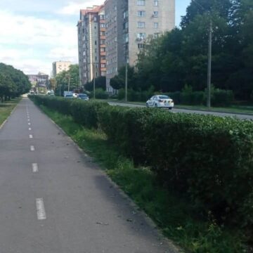 У Франківську планують збільшити кількість живоплотів — містяни можуть запропонувати, де саме У Франківську планують збільшити кількість живоплотів — містяни можуть запропонувати, де саме