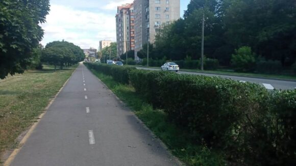 У Франківську планують збільшити кількість живоплотів — містяни можуть запропонувати, де саме У Франківську планують збільшити кількість живоплотів — містяни можуть запропонувати, де саме