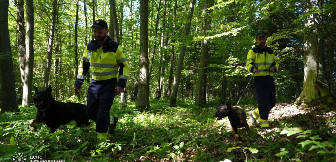 Делі та Єва: як чотирилапі “напарниці” допомагають рятувальникам шукати людей на Прикарпатті Делі та Єва: як чотирилапі “напарниці” допомагають рятувальникам шукати людей на Прикарпатті