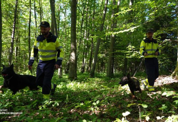 Делі та Єва: як чотирилапі напарниці допомагають шукати людей на Прикарпатті